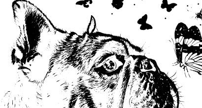 BullDog